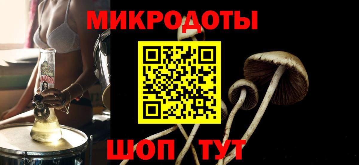 Галлюциногенные грибы MAGIC MUSHROOMS  Вход с VPN  Искитим 